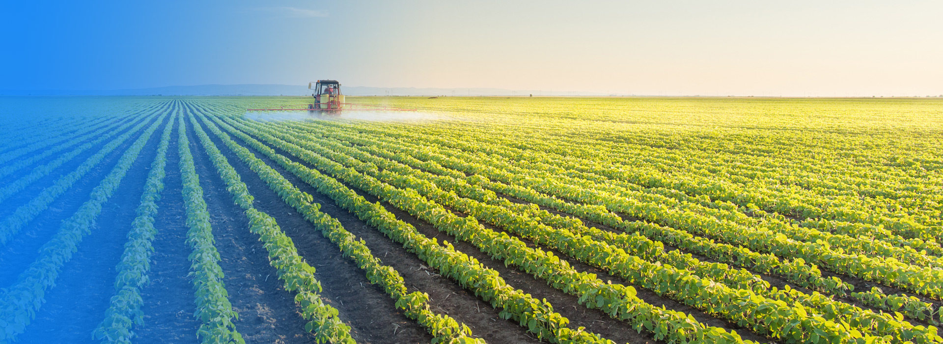 俄罗斯专享会294农业公司