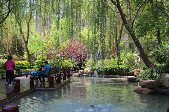 俄罗斯专享会294集团