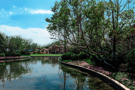 俄罗斯专享会294集团