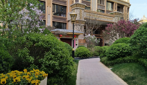 俄罗斯专享会294集团